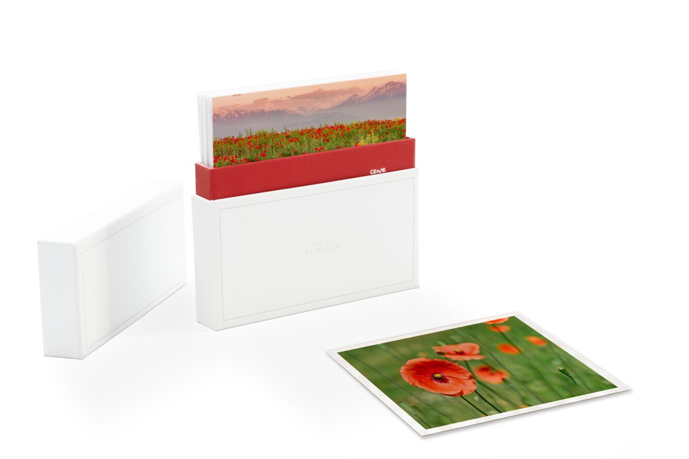 Tirages photo carrés rangés dans une boîte blanche et rouge